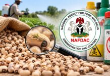 NAFDAC Raises Alarm Over Toxic Pesticide Residues in Beans, Warns Nigerians