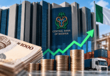 CBN: Nigerian Businesses Remain Optimistic Despite Tax, Insecurity, High Interest Rates