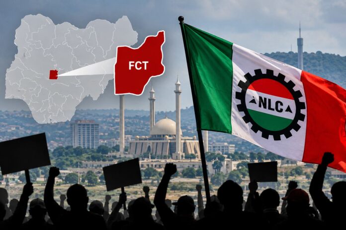 FCT-NLC