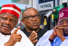 2027: Kwankwaso, Obi Consider Fuel Subsidy Return as NDC Vows to Reduce Petrol Prices