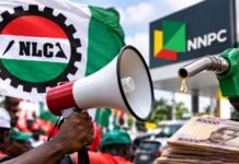 NLC Gives FG Two Weeks to Cut Petrol Prices, Renegotiate ₦70,000 Minimum Wage