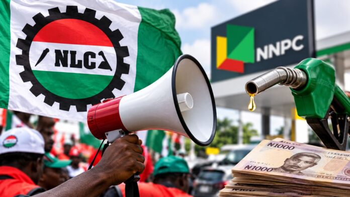 NLC-FUEL