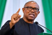 Peter Obi Vows to Campaign Across Nigeria, Says No Group Has Monopoly of Rascality