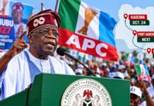Tinubu Explains Why He Won’t Embark on Nationwide Campaign Tour for Re-election