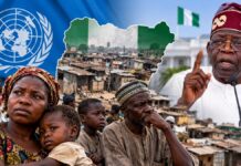 UN Report: 113 Million Nigerians Face Multidimensional Poverty as Presidency Defends Reforms